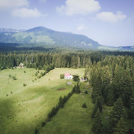 Homestay Djerkovic Žabljak Exterior foto