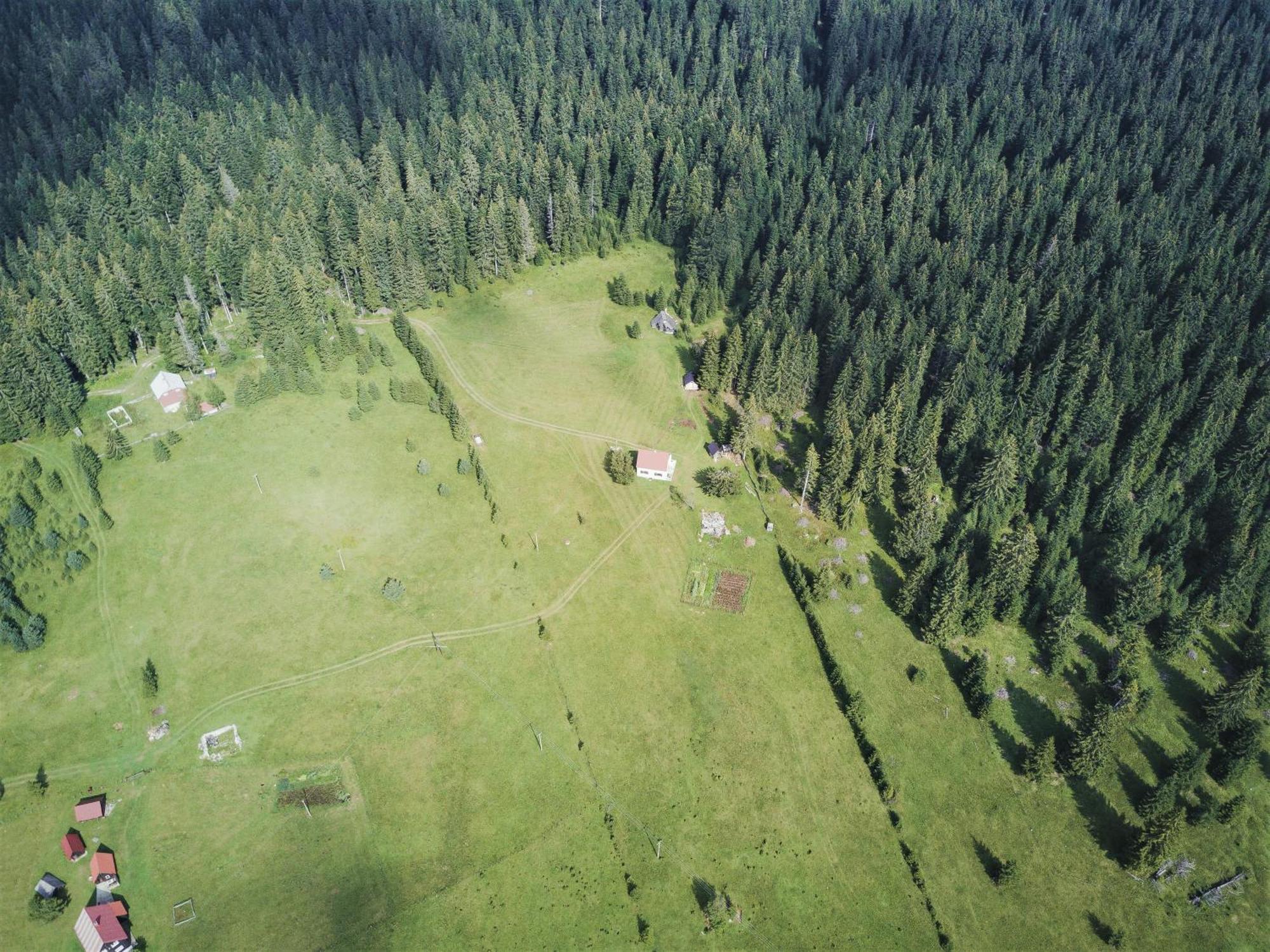 Homestay Djerkovic Žabljak Exterior foto